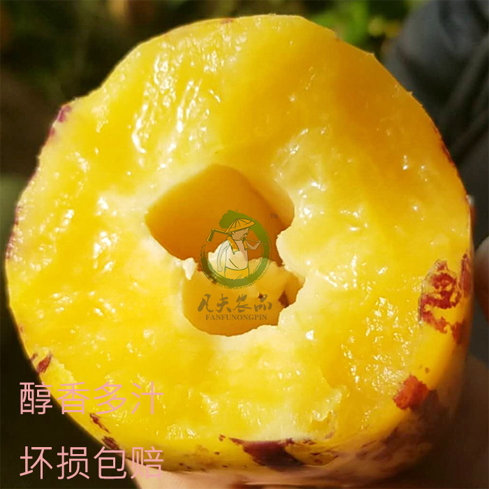 兰陵王之泣血刀锋