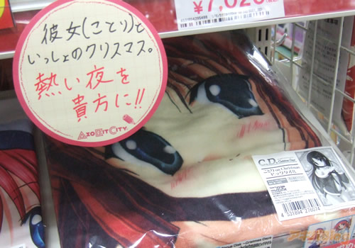 公主代理人续篇：第一章