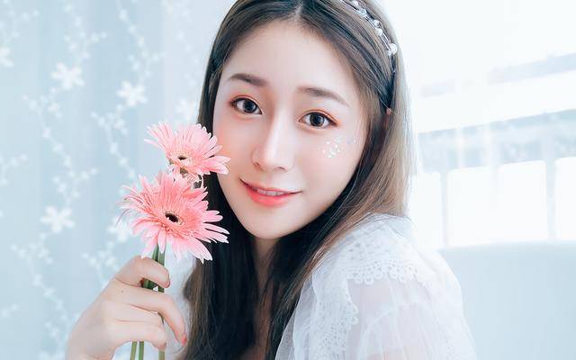 兔子镇的火狐狸