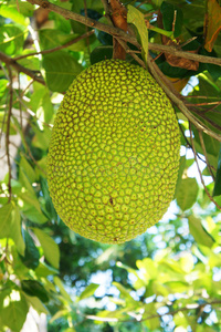 养鬼吃人5：地狱